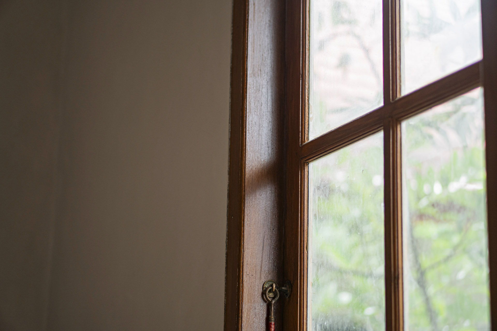 Wooden framed window with greenery outside